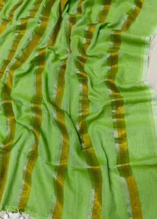 Exclusive Multi Colour Checked Type Saree - LTS83 Light Green