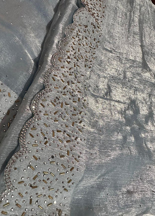 Organza Saree - LTS165