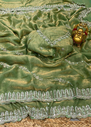 Organza Saree - LTS165