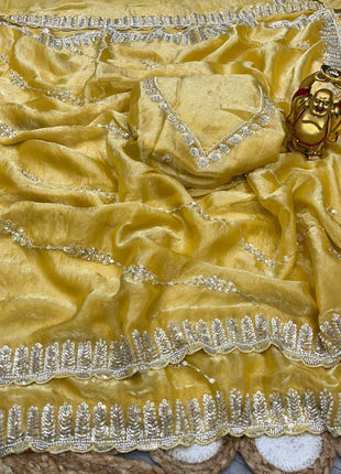 Organza Saree - LTS165