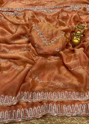 Organza Saree - LTS165